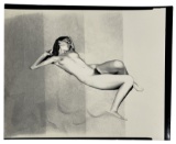 Adult Photo