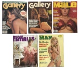 Erotic Adult Magazine Collection