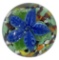 Flower Paperweight