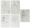 Luxury Fashion Brands | Designer Sketch | Prints and Sketches