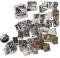 Sports Collectors Cards