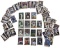 Sports Collectors Cards