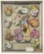 South African Flora | Framed 1935 Calendar