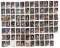 Basketball Collectors Cards | Sports Collectors Cards