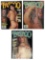 Tattoo Magazine Collection