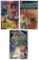 Erotic Adult Comic Book Collection