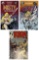 Erotic Adult Comic Book Collection