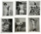 Erotic Vintage Adult Photo Collection
