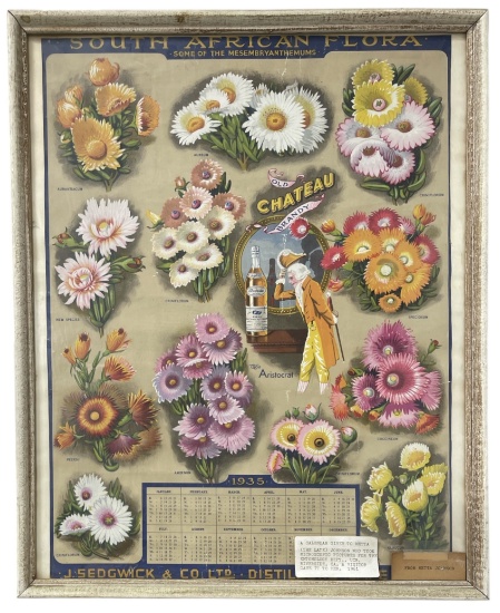 South African Flora | Framed 1935 Calendar