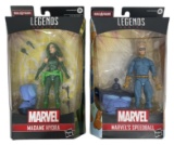 Marvel Legends Series | Madame Hydra and Marvels Speedball | Action Figures