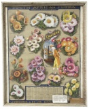 South African Flora | Framed 1935 Calendar