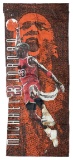 Michael Jordan Flag