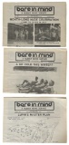 Adult Newspaper Collection