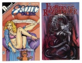 Erotic Adult Comic Book Collection