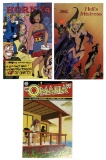 Erotic Adult Comic Book Collection