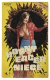 Erotic Adult Novel