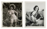 Erotic Vintage Adult Photo Collection