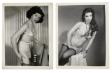 Erotic Vintage Adult Photo Collection