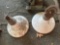 2 Industrial Enamel Ceiling Lights