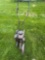 Yard Machines Gas Edger