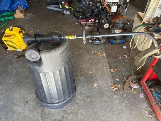 Bolens Curved Shaft Trimmer