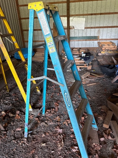 Werner 6' Fiberglass Step Ladder