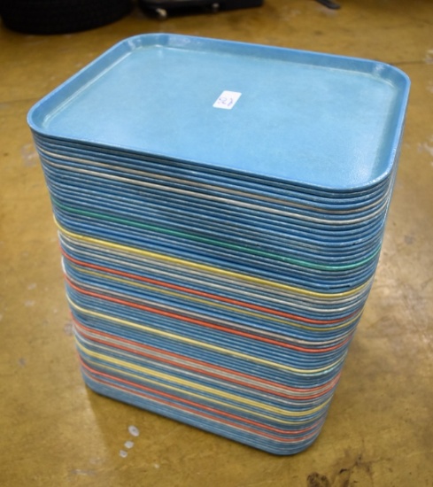 74 Lunch trays