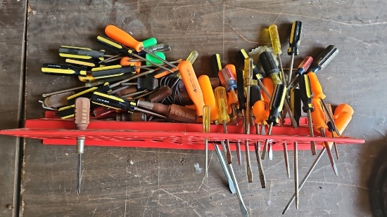 Screwdrivers in organizer