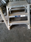 STOKES STEP LADDER