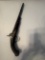 Antique Pistol