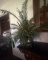 Large Artificial Tropical Arrangement in Decorative Planter