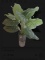 Tall Artificial Tropical Plant in Decorative Cylinder Planter