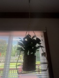 Pair of Hanging Decorative Planters with Foliage