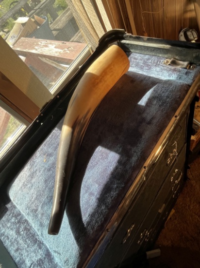 Powder Horn