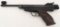 Air Gun - RWS Diana Model 5