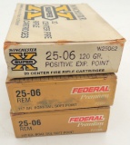 Ammo - Lot of .25-06