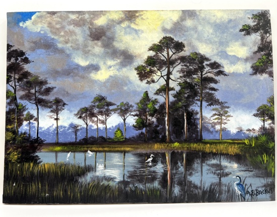 "Glades Marsh" after Backus