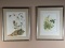 Two Hummingbird Prints SIGNED By Artist