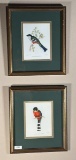 Pair of J.E. Gould Prints 