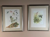 Two Hummingbird Prints SIGNED By Artist