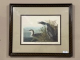 John J. Audubon Great Northern Diver or Loon Engraving Plate NO. 306