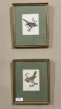Pair of Vintage Bird Watercolors Signed