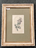 Floral Engraving By W. Curtis