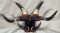 Mounted Horns Hat Rack