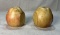 Pair of Alabaster Fruit Bookends