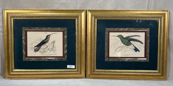 Pair of Hummingbird Engravings By William Jardine