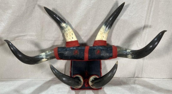 Mounted Horns Hat Rack