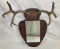 Large Mounted Antler Rack with Mirror