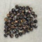 Murano Glass Beads
