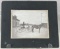 Early Equestrian Photograph, Pueblo, Colorado